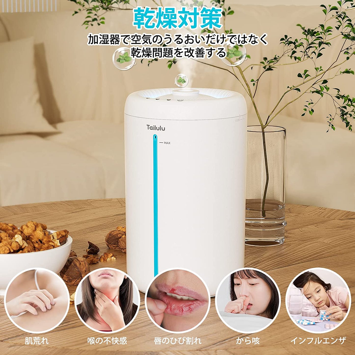 【最新アップグレード版・アロマ対応・超静音】Tailulu DS9L 加湿器 卓上 大容量 4.5L 超音波式 次亜塩素酸水対応