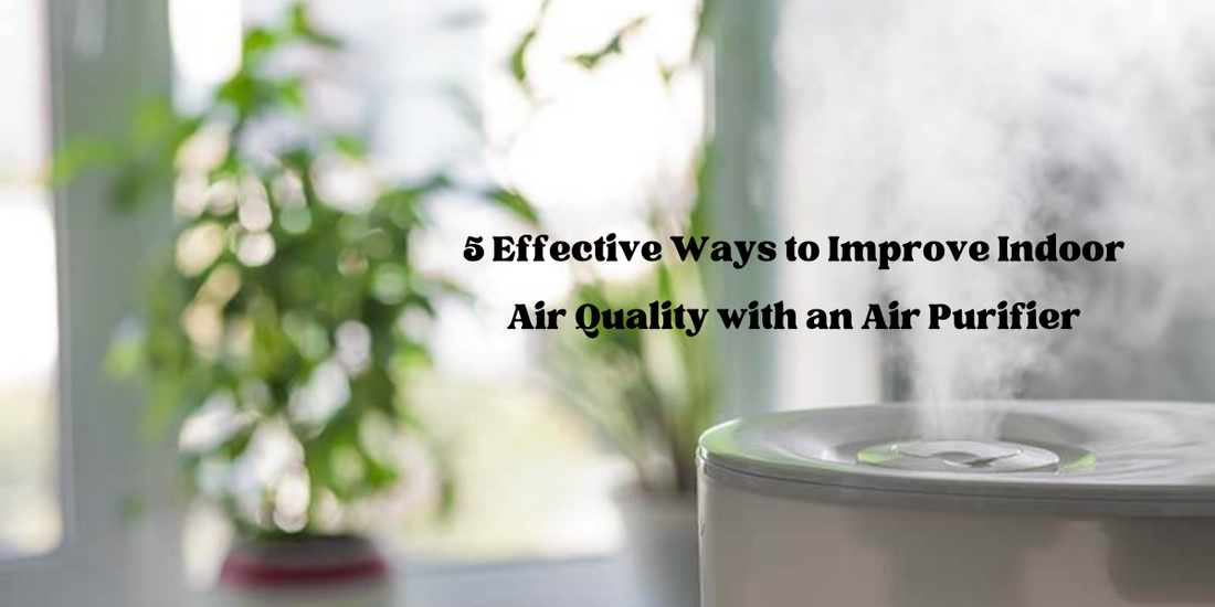 空気清浄機で室内の空気の質を改善する 5 つの効果的な方法