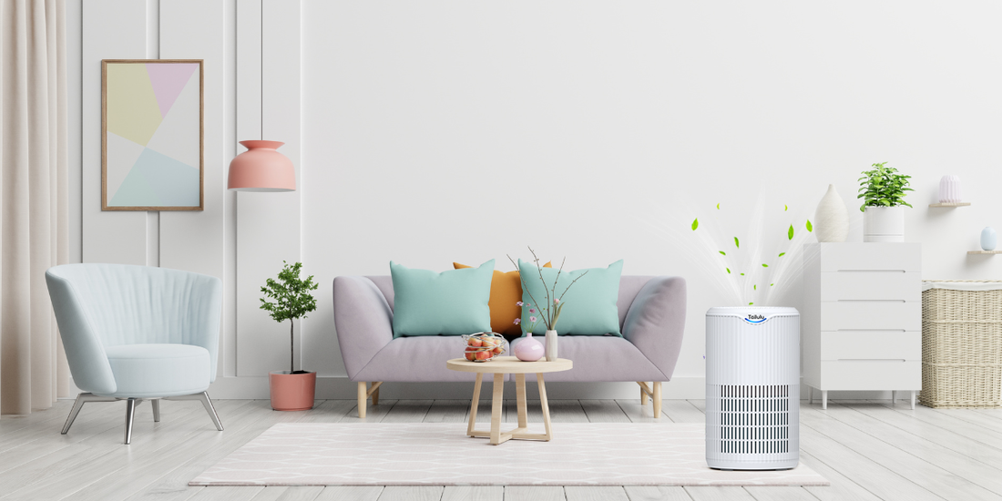 How to Choose an Air Purifier for Pet Allergies